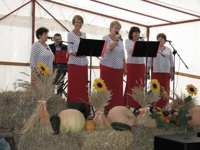 Do%%C5%%BCynki Szczedrzyk (10)